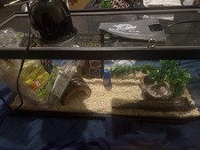 Snake tank comes for sale  Abilene