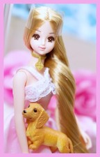 Takara japan jenny for sale  Mechanicsburg