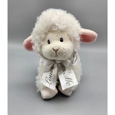 Aurora baby sheep for sale  Brownstown