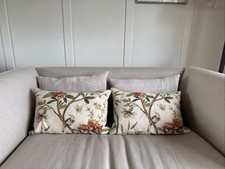 Baker tree peony for sale  LEIGH-ON-SEA