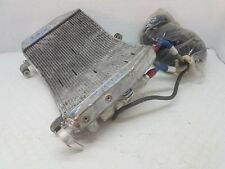 Radiatore maggiorato uso usato  Scafati