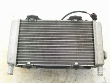 Radiatore acqua per usato  Italia