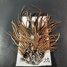 Cree variant rooster for sale  Boiling Springs