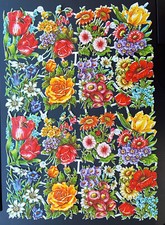rosenbilder gebraucht kaufen  Köln