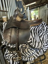 Side saddle equestrian for sale  WELSHPOOL