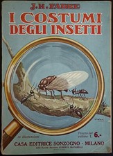 Costumi degli insetti usato  Monzuno