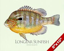 Longear sunfish fish for sale  South Jordan