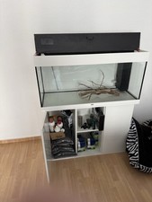 Aquariumkombination juwel rio gebraucht kaufen  Neustrelitz