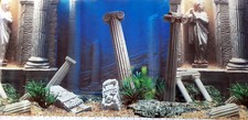Aquarium fotorückwand 149x48c gebraucht kaufen  Berlin