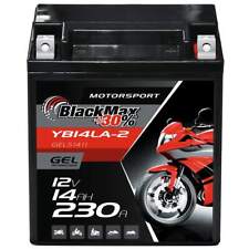 Blackmax yb14l gel gebraucht kaufen  Dinklage