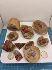 teepee canyon agate for sale teepee canyon agate for sale Sierra Vista