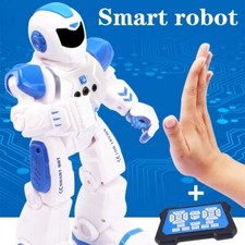 Intelligente roboter ferngeste gebraucht kaufen  Aspisheim, Grolsheim