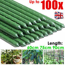 Green garden plant for sale  LICHFIELD