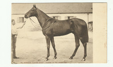 Horse racing jockey. for sale  MINEHEAD