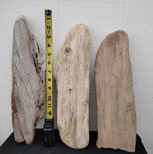 Flat driftwood pieces for sale  Brookings