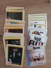 1993 merlin wwf usato  Lugo