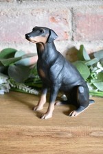 Leonardo collection doberman for sale Leonardo collection doberman for sale  SPALDING
