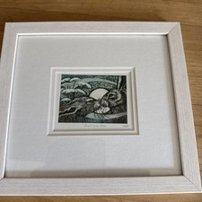 hares for sale hares for sale BRIDLINGTON