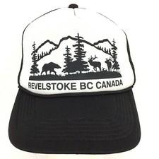 Vtg revelstoke canada for sale  Hudson