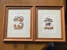 Framed set fruit for sale  Dawsonville