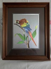 Quadro con pappagallo usato  Vanzaghello
