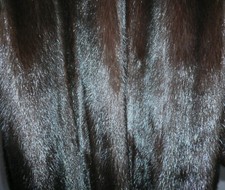 Real ranch mink for sale  YEOVIL