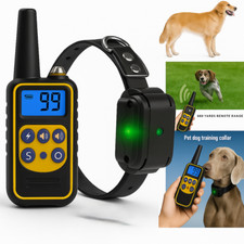 Collare cane 800m usato  Frattaminore