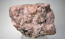 bustamite for sale bustamite for sale Brooklyn