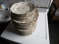 Stück zum aussuchen gebraucht kaufen  Bützow
