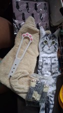 Cat kitten home for sale  Raleigh