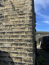 Punch faced yorkshire for sale  HUDDERSFIELD