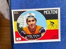 Panini sprint molteni usato  Canelli
