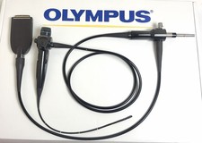 Olympus enf type usato Olympus enf type usato  Spedire a Italy