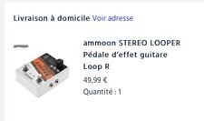 Pédales looper d'occasion  Vannes