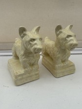 West highland terrier for sale  HEXHAM