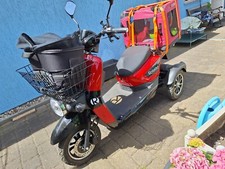 Rolektro carrier v25 gebraucht kaufen  Bad Dürrenberg