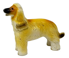 afghan hound puppies for sale afghan hound puppies for sale Cary