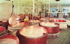 Wilmot alpine cheese for sale  Lake Ann