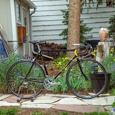 Vintage 1984 nishiki for sale  Denver