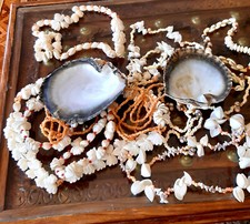 Lot colliers coquillages d'occasion  Bitche