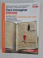 Caro immaginar. poesia usato  Senago