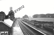 lambeg for sale  BEWDLEY