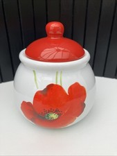 Rayware ceramic alpine for sale  MEXBOROUGH
