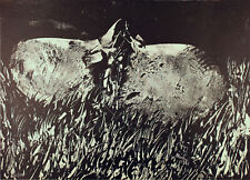 Mattia moreni 1971 usato  Venezia