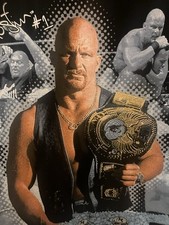 Wwf stone cold for sale  Revere