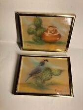 Gambel quail original for sale  San Luis