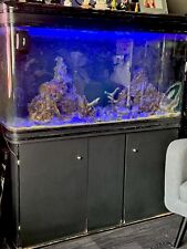 Aquarium fish tank for sale  LONDON