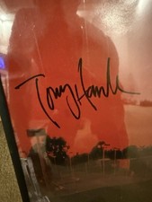 Tony hawk incorniciata usato  Spedire a Italy