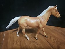 Thoroughbred quarter horse for sale  Arcadia