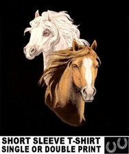 arab quarter horse for sale arab quarter horse for sale Cape Coral